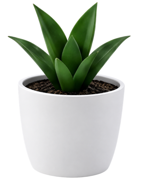 Plant Pot
